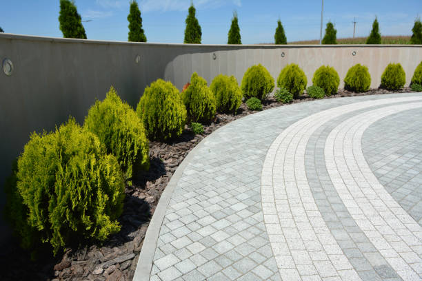 Reasons to Select Us for Your Driveway Paving Requirements in Edgemere, MD